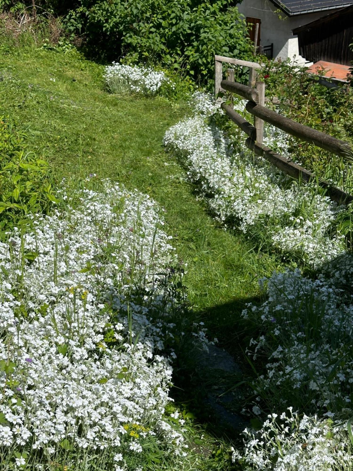 Huguette 18m2 Courchevel